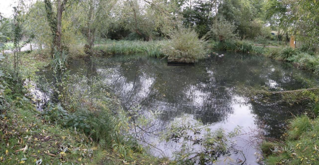 Make space for life: Maidenhead Society newsletter updates on conservation successes
