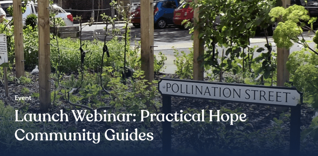 Practical Hope Community Guides