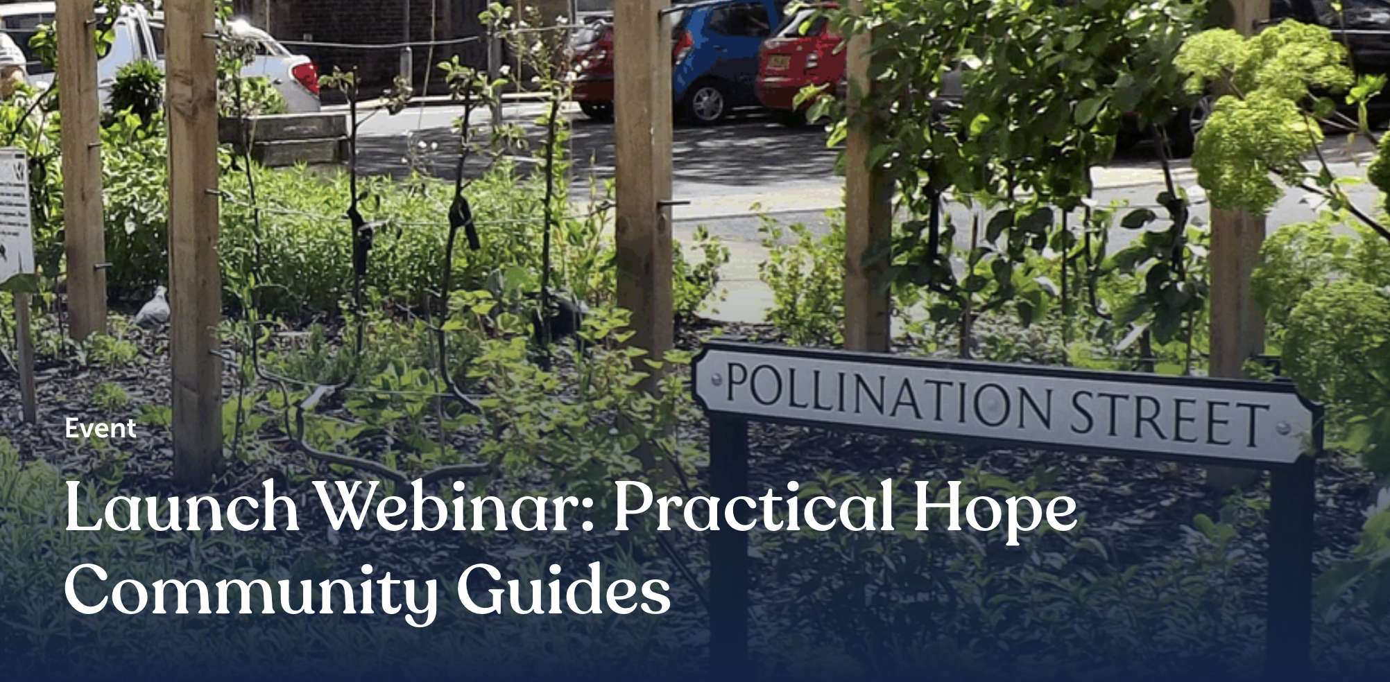 Practical Hope Community Guides