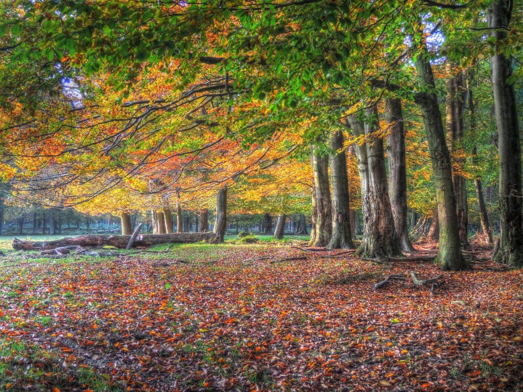 Planning and Infrastructure Bill Part 3: Development and Nature Recovery